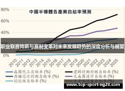 职业联赛降薪与赛制变革对未来发展趋势的深度分析与展望